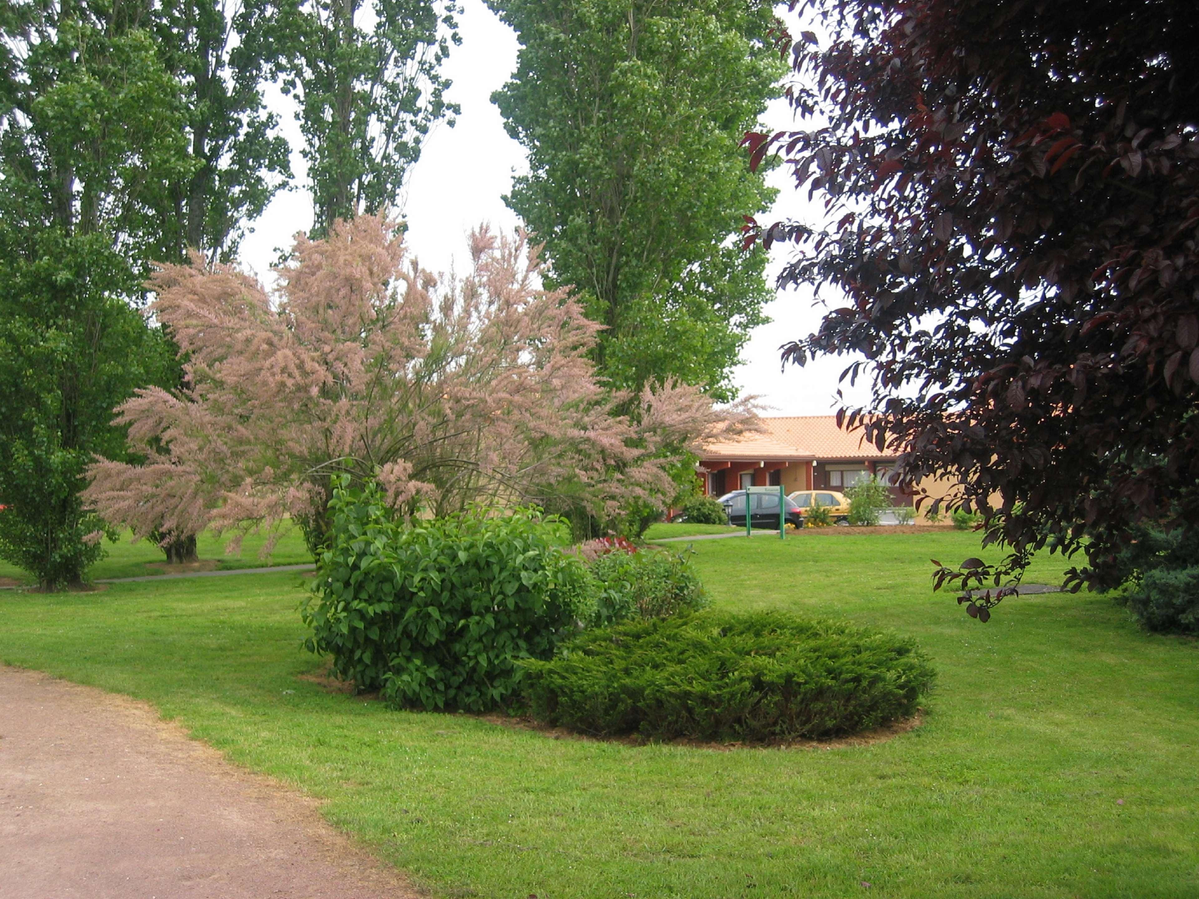 Kyriad Niort - La Creche Exteriér fotografie